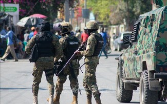 海地危机：过渡总统委员会承诺恢复宪法秩序