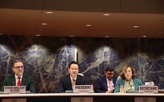 越南主持第14届联合国贸发会议投资、企业和发展委员会会议