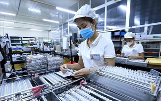 国际专家高度评价越南市场潜力