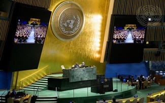 联合国大会通过将2026年定为国际女农民年的决议