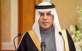 沙特阿拉伯任命十多年来首位驻叙利亚大使
