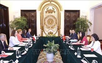 越南与波兰举行政治磋商