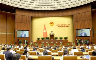 国会讨论义安、岘港特殊政策