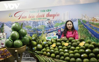 胡志明市“岸上船下"水果周开幕