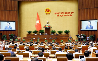 越南国会继续讨论重要内容