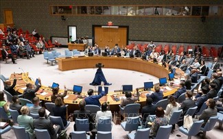 联合国安理会新选5个非常任理事国