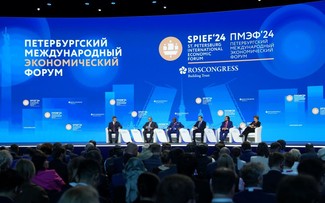 第27届圣彼得堡国际经济论坛及越俄外交、经济合作