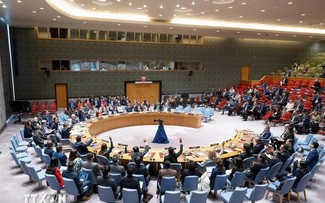 哈马斯-以色列冲突：巴勒斯坦欢迎联合国关于加沙停火的决议