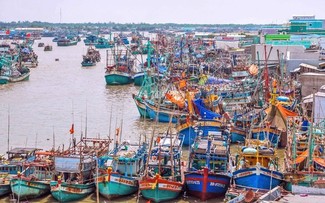 越南打击非法、不报告和不管制捕捞行为工作发生积极变化