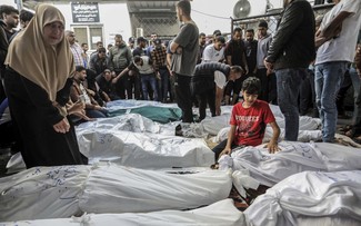哈马斯-以色列冲突：加沙伤亡人数超过12.5万