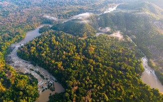 吉仙国家公园 - 越南保护自然和生物多样性的典范