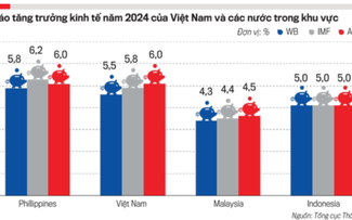 预计越南经济今年将保持高速增长