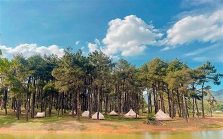 Moc Chau – ein führendes Naturreiseziel weltweit