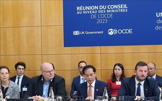 Treffen des OECD-Ministerrates: Außenminister Bui Thanh Son betonte Entschlossenheit zur grünen Wende 