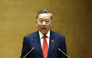 Spitzenpolitiker einiger Länder schicken Glückwunschtelegramme an Staatspräsident To Lam