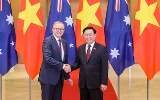 Parlamentspräsident Vuong Dinh Hue trifft sich mit dem australischen Premierminister Albanese