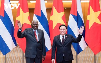 Solidarität und Freundschaft zwischen Vietnam und Kuba verstärken