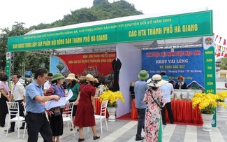 Ha Giang exportiert lokale Landwirtschaftsprodukte
