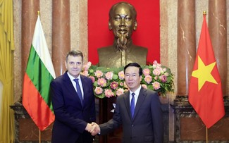 Presiden Vietnam, Vo Van Thuong Menerima Para Dubes Negara-Negara