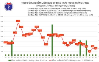 Ngày 30/5, Việt Nam ghi nhận hơn 650 ca mắc COVID-19