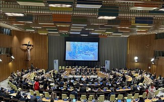 UNDP - Đối tác quan trọng và tin cậy của Việt Nam trên con đường phát triển và hội nhập