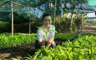 Nguyễn Phượng Hằng - Kỹ sư 9X khởi nghiệp từ dự án cây giống cấy mô