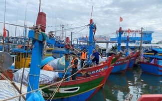 Central Vietnam placed on high alert as super typhoon nears