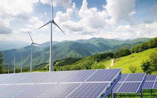 Vietnam cooperates with the Netherlands, US in renewable energy, climate change response