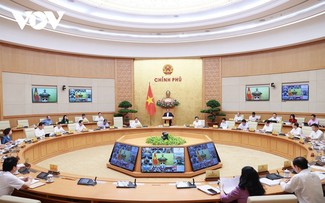 PM chairs online regular Government meeting with localities