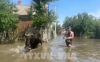 Kakhovka dam collapse: Ukraine warns of risks to global food security