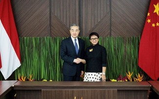 China and Indonesia want regional peace and stability, says Wang Yi