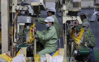 Bright spots in Vietnam's economy after five months of 2024