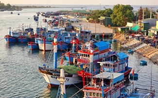 Vietnam adopts measures to have EC's IUU "yellow card" lifted: Indonesian expert