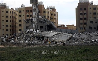 Конфликт ХАМАС-Израиль: Израиль может отказаться от переговоров и подготовиться к наземной наступательной операции на Рафах