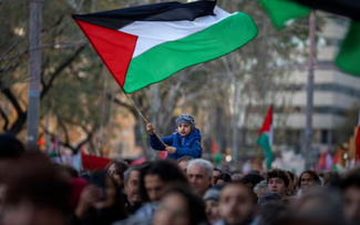 Реакция международной общественности на признание государственности Палестины 