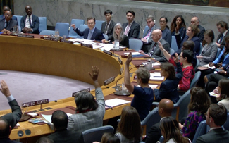 Совет Безопасности принял резолюцию о поддержке постоянного прекращения огня между Израилем и ХАМАС