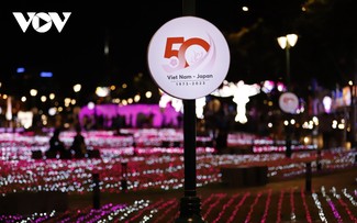 TP. Hồ Chí Minh trang trí đèn nghệ thuật kỷ niệm 50 năm quan hệ ngoại giao Việt Nam – Nhật Bản