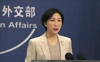 China pushes for political settlement of Russia-Ukraine conflict, Denmark plans aid to Kyiv 