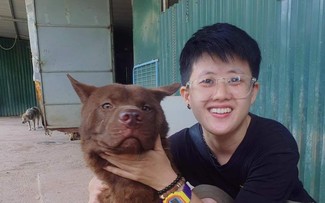 Happy homes for stray, abandoned animals in Hanoi 