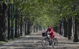 Vienna is world’s most liveable city for third consecutive year