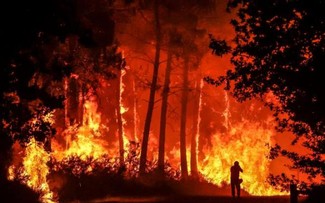 Điện thăm hỏi các vụ cháy rừng tại Pháp
