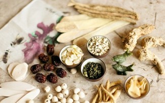 Thuốc đông y bổ sung dinh dưỡng và điều trị các bệnh về cơ, xương, khớp