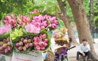 Trả lời thính giả về các loài hoa đặc trưng của Hà Nội; làng nghề bánh tráng Túy Loan và thông tin về ngành dược
