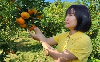 Chị Vũ Thị Lệ Thủy, tấm gương làm kinh tế nông thôn ở tỉnh Hòa Bình