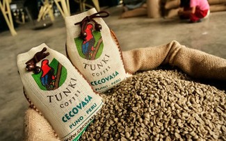 La Semana del Café peruano se efectuará por primera vez en Vietnam