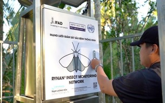 Sistema de monitoreo de insectos, exclusivo de Vietnam, se irrumpe en el mercado japonés
