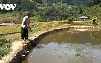 La prosperidad que trae la gran unidad a los pueblos montañosos de Yen Bai