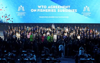 Conferencia ministerial de la OMC concluye sin avances significativos