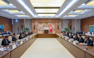 Líder parlamentario recibe a copresidentes del Comité Económico Japón - Vietnam