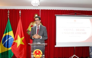 Vicecanciller brasileño: Vietnam es un importante socio de Brasil en Sudeste de Asia